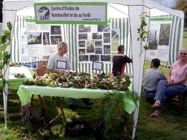 2007 09 Forum des associations 14